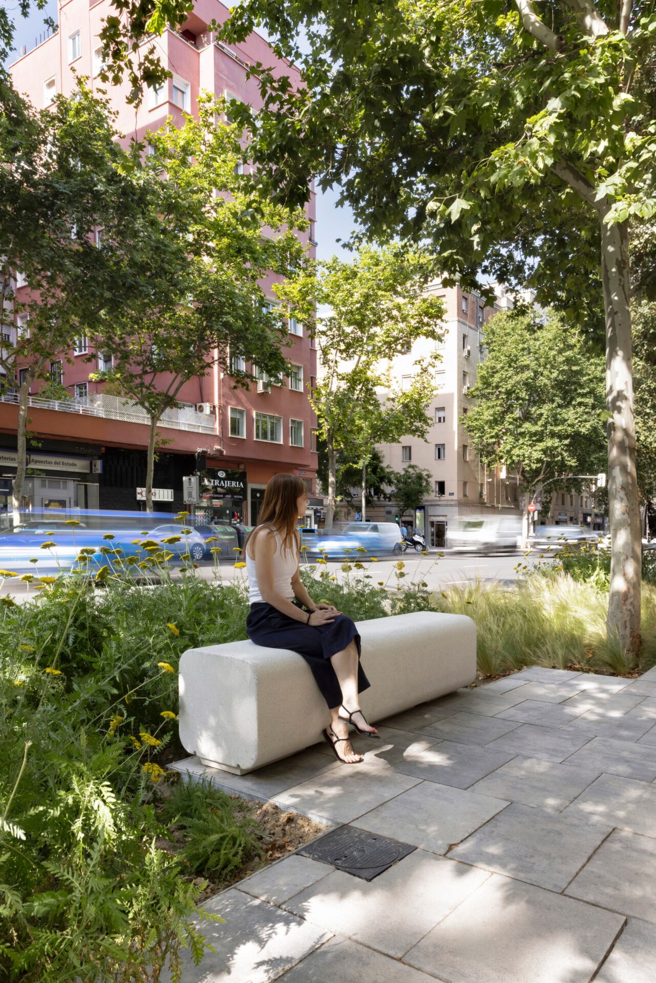 ENTORNOS ESCOLARES PACIFICADOS, MADRID, ES