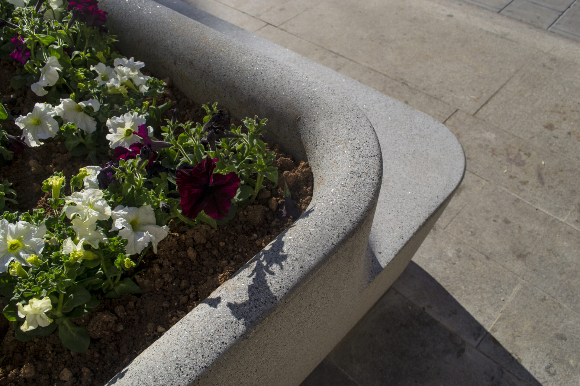 PLAZA EN CHIVA, VALENCIA, ES