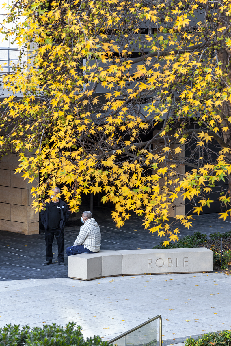 CENTRO EMPRESARIAL PARQUE NORTE, MADRID, ES
