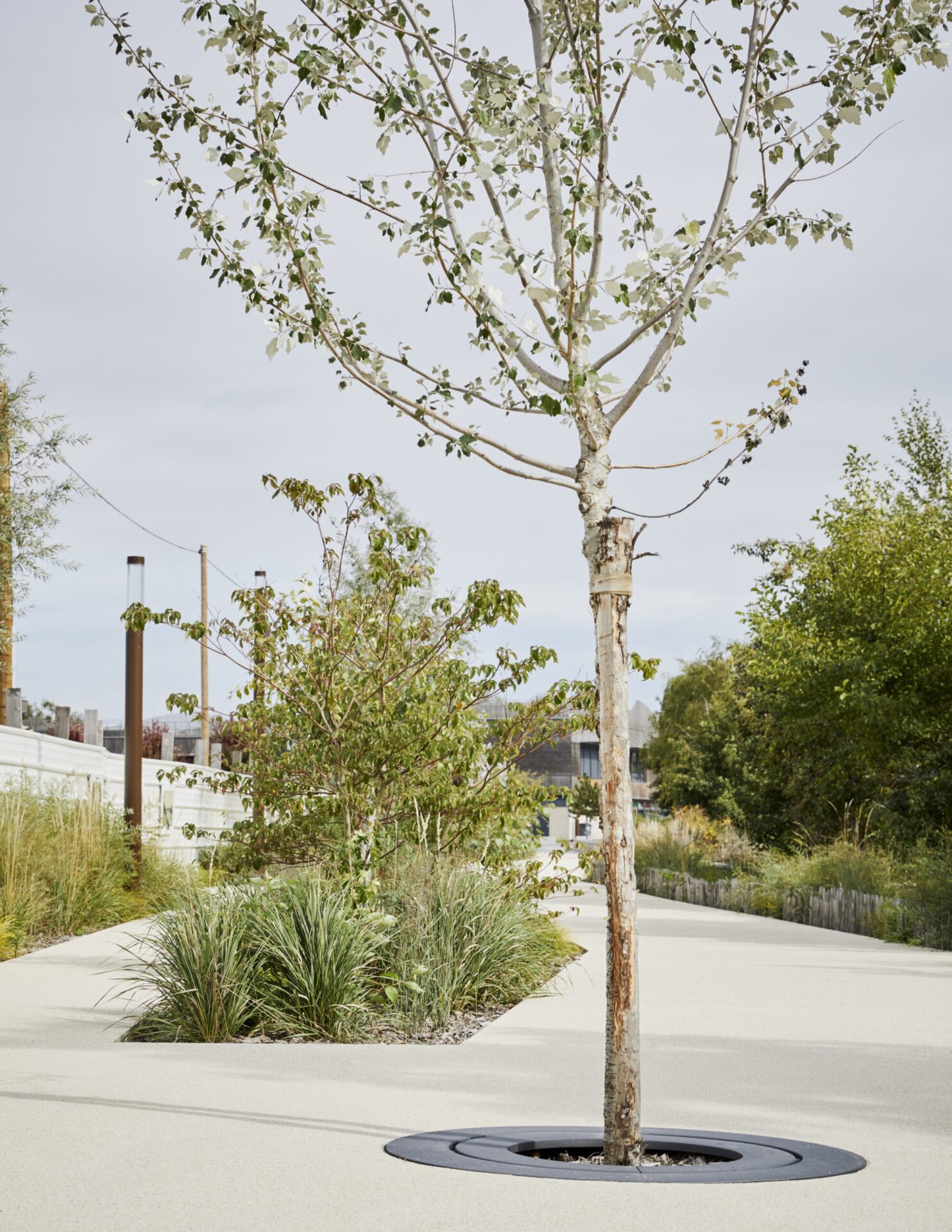 ZAC EC'EAU PORT, CREIL, FR ©JULIEN FALSIMAGNE