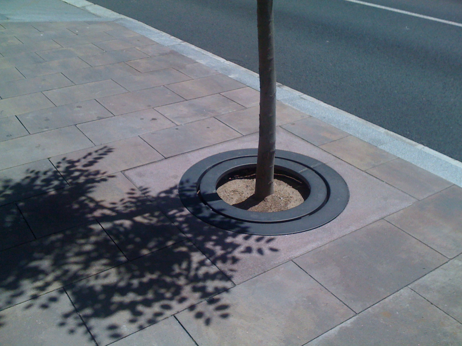 SANT FELIU DE LLOBREGAT, CATALUNYA, ES 