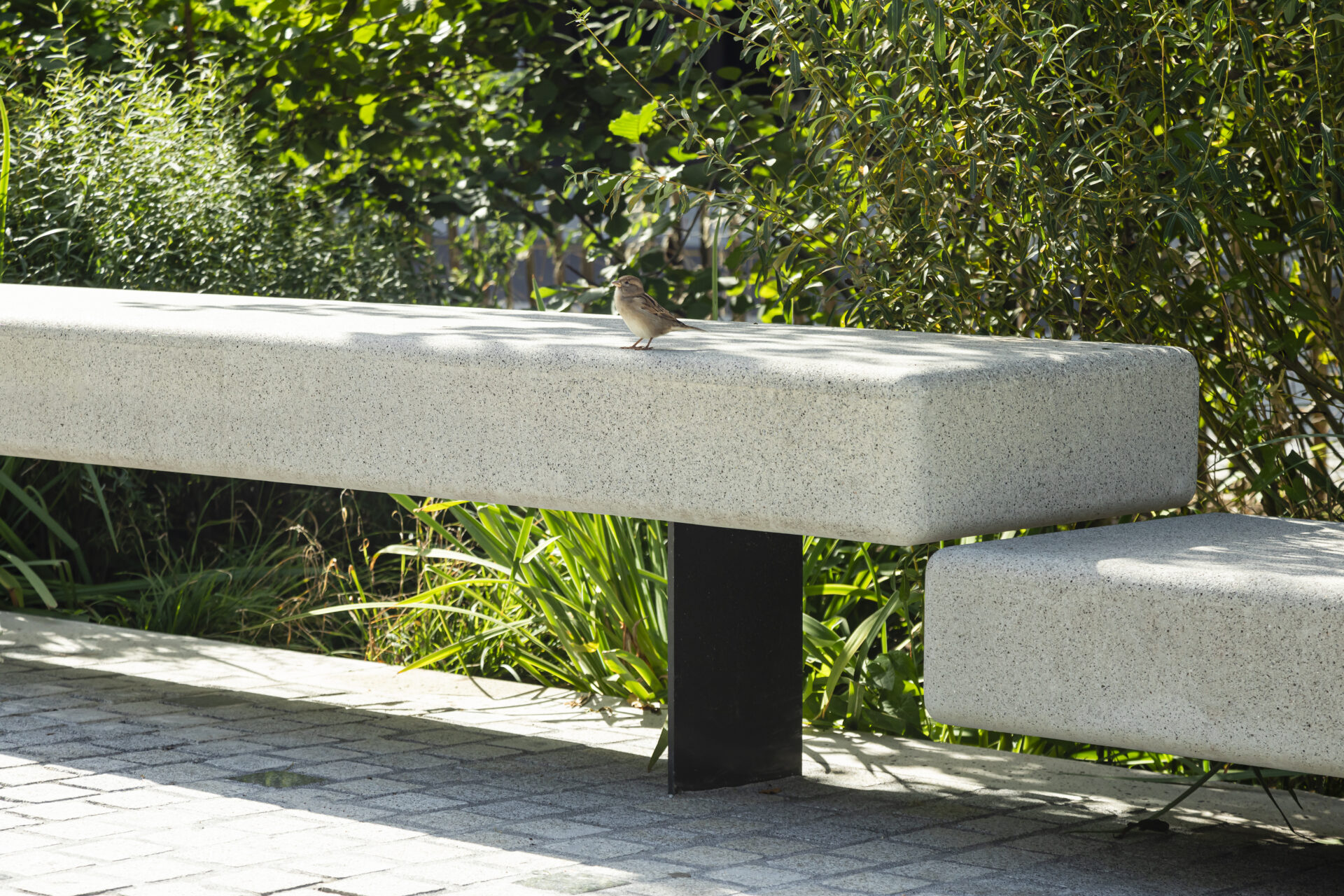 QUARTIER DE L'ETANG, GENEVE, CH ©MARCELA GRASSI