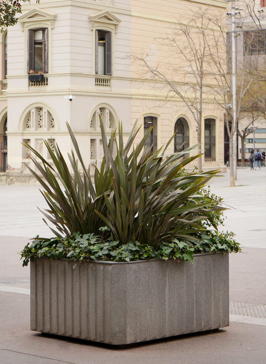 PASSEIG SABADELL, CATALUNYA, ES