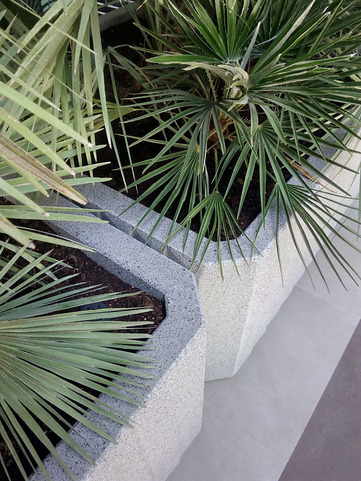 BARCELONA, CATALUNYA, ES