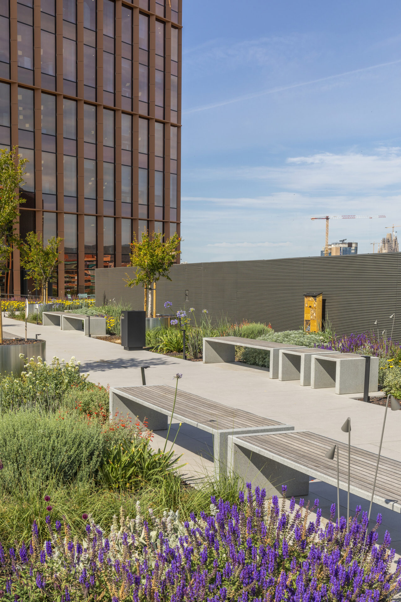 LA ESCOCESA, BARCELONA, CATALUNYA, ES