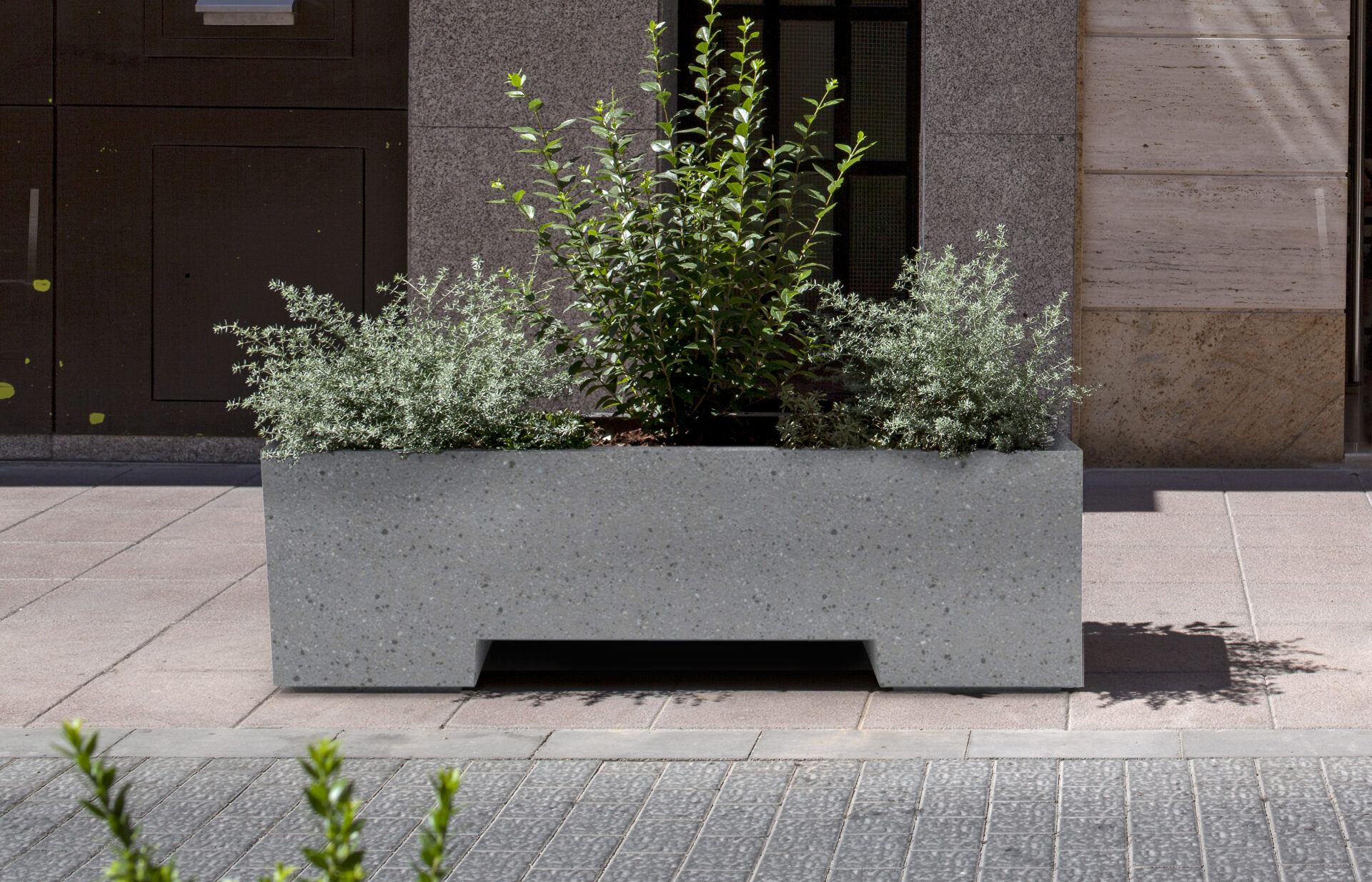 MOVE PLANTER IN PERPIGNAN, FR