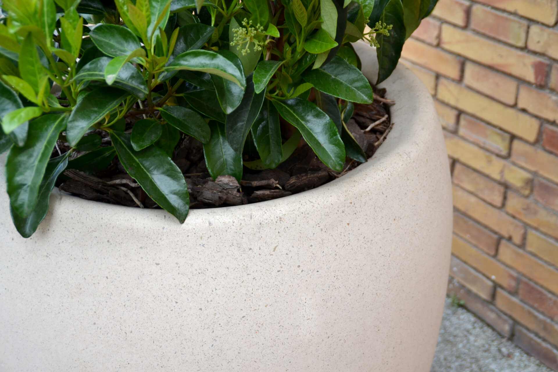 MARTORELL, CATALUNYA, ES