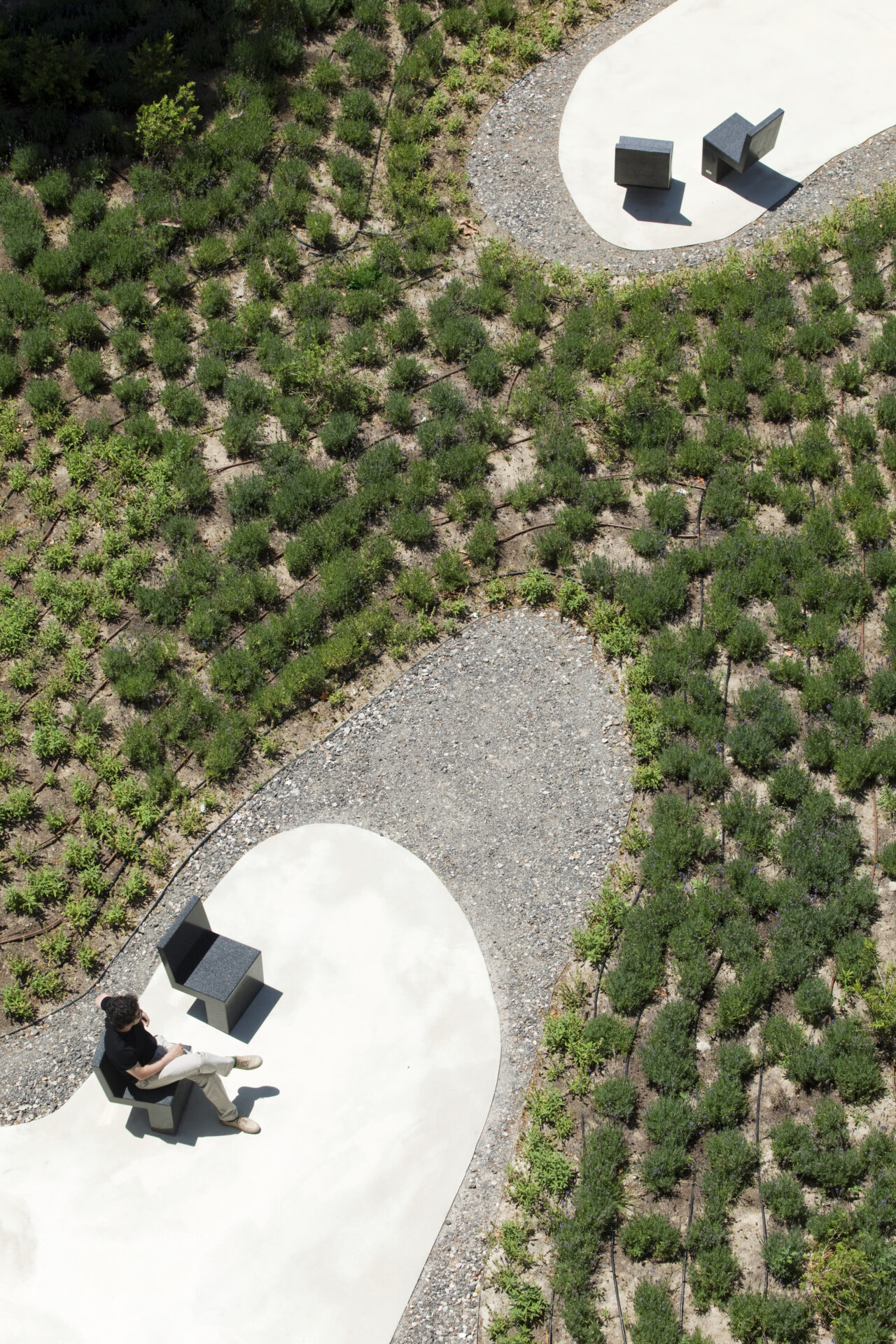 JARDIN O'DONNELL, MADRID, ES