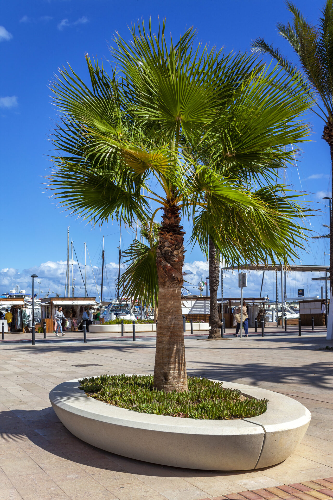 PORT DE FORMENTERA, ISLAS BALEARES, ES