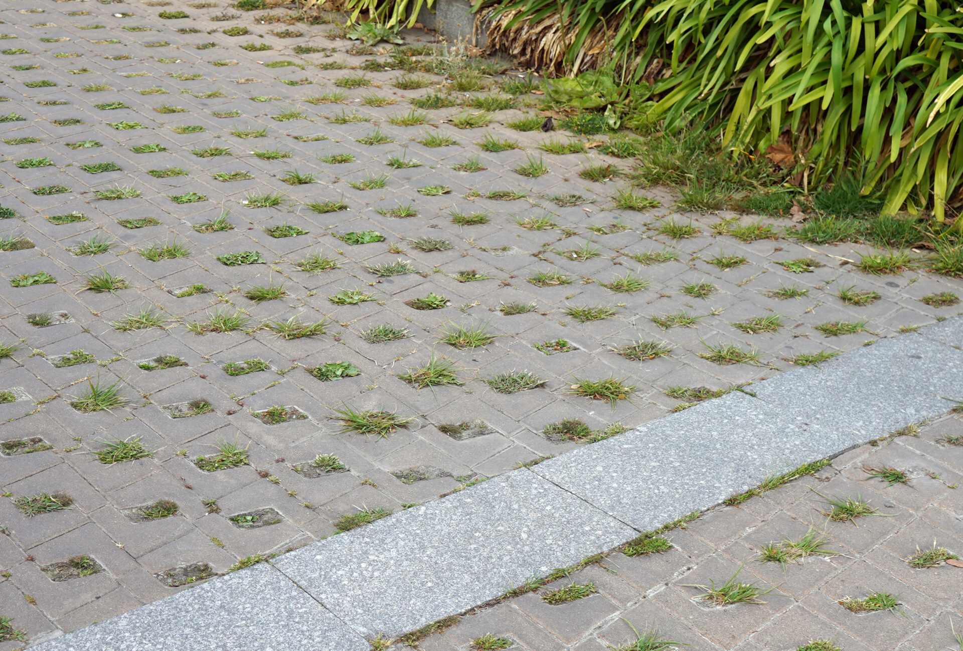 PLAÇA DE REINA CRISTINA, BARCELONA, CATALUNYA, ES