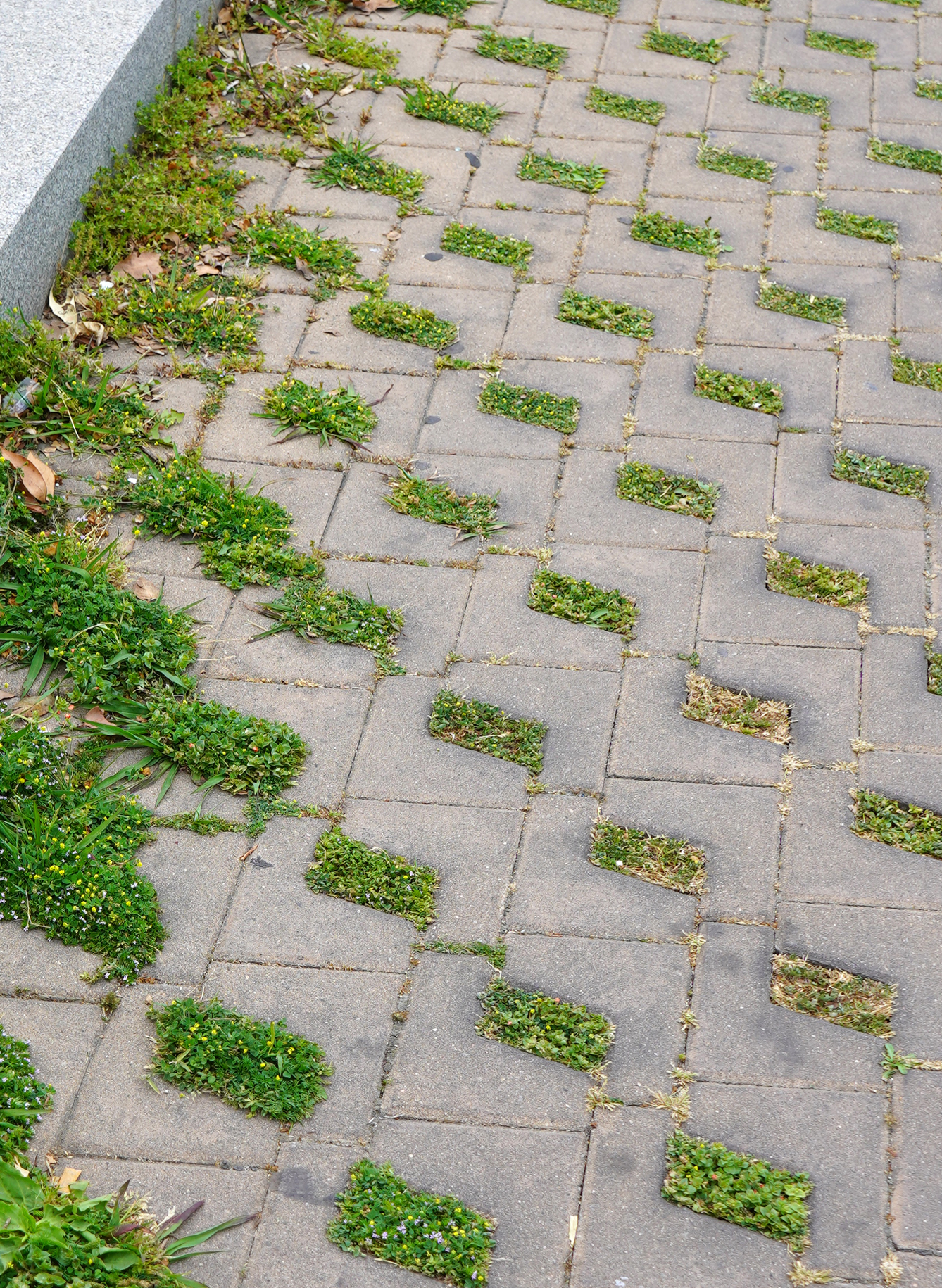 PLAÇA DE REINA CRISTINA, BARCELONA, CATALUNYA, ES