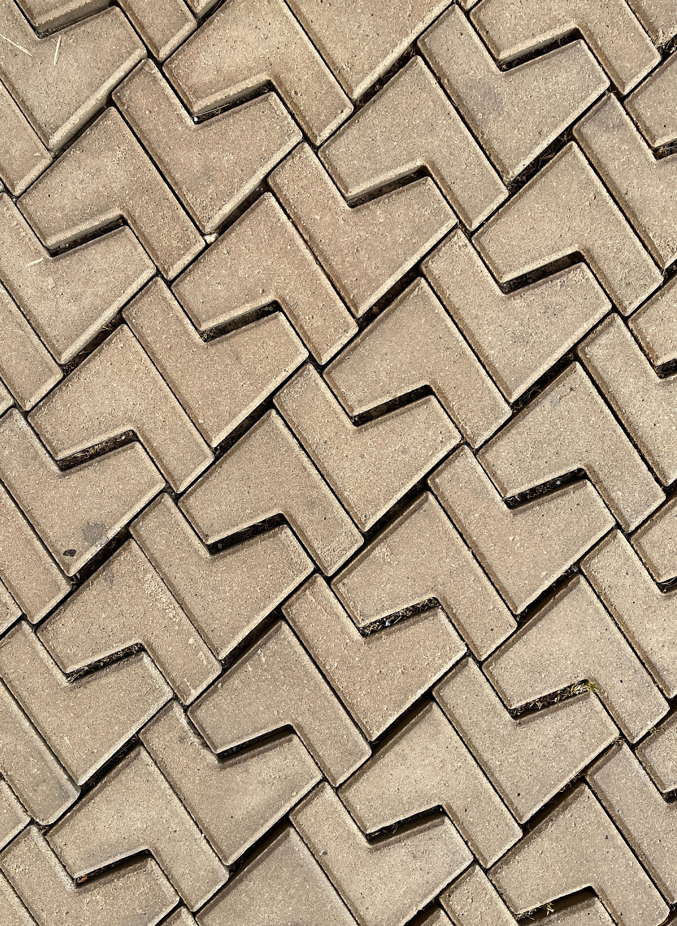 CATEDRAL DE PALMA DE MALLORCA, ES