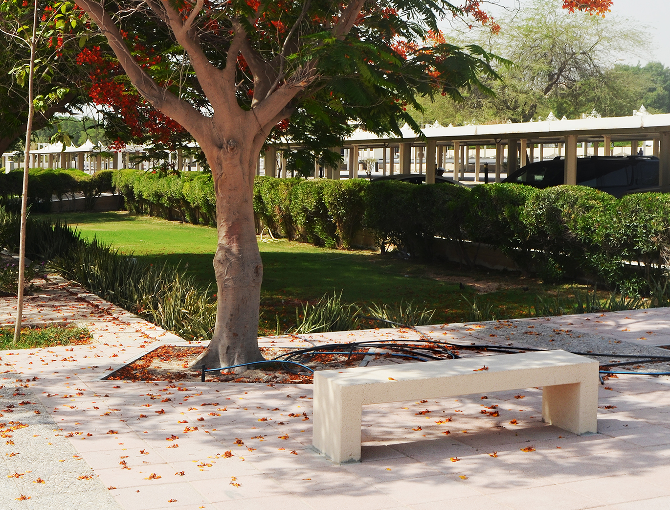 campus doha college, qa