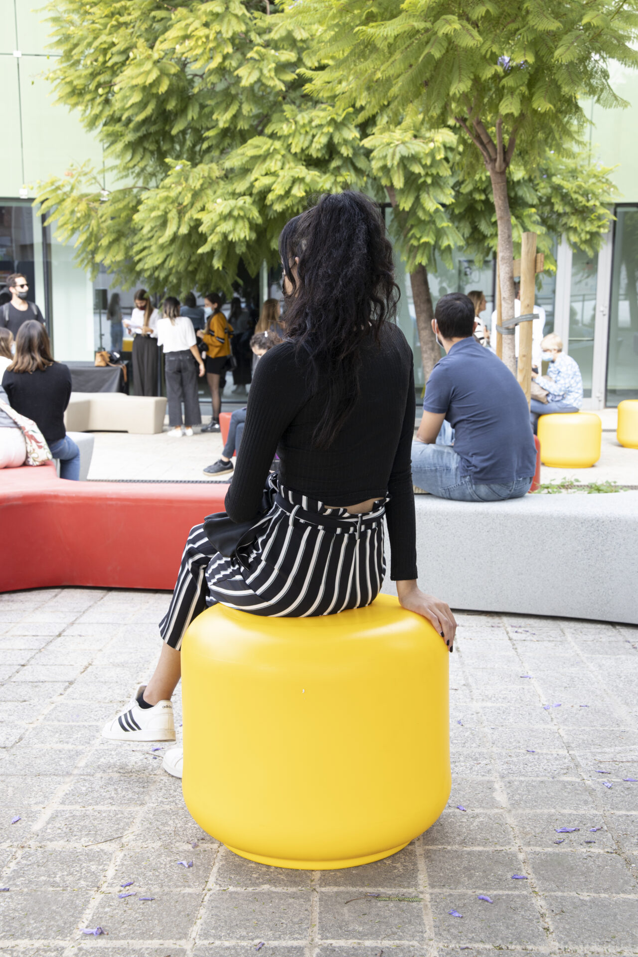 STUL IN COLZA YELLOW (RAO)