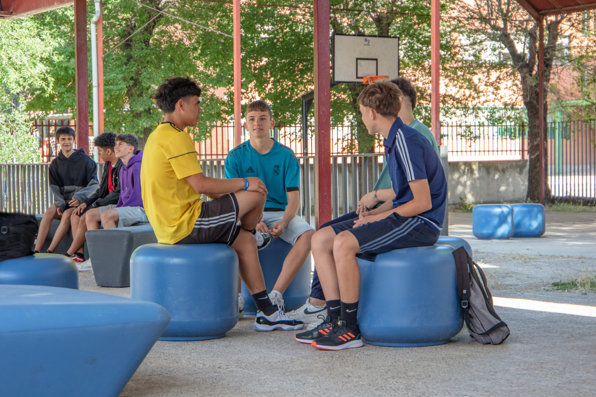 INSTITUTO MENÉNDEZ PELAYO, MADRID, ES