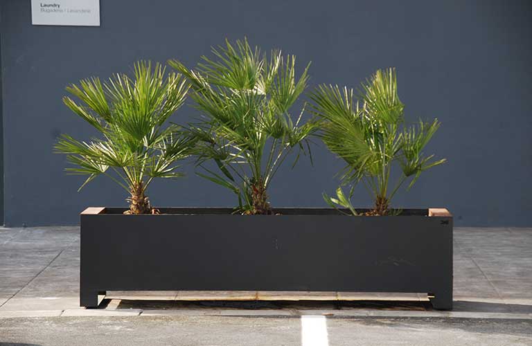 VILANOVA, CATALUNYA, ES