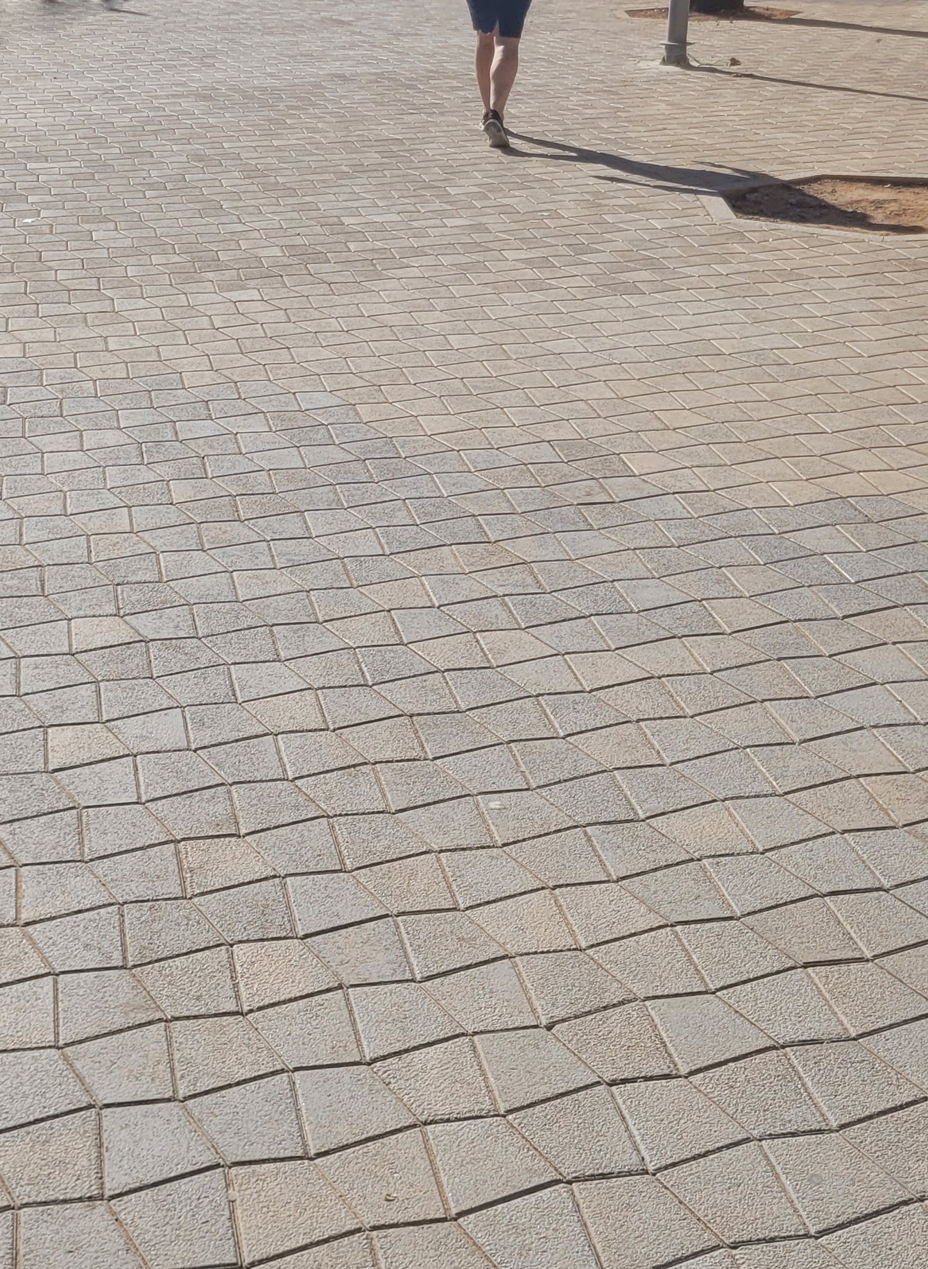 PASSEIG MARÍTIM DE PALMA, MALLORCA, ES