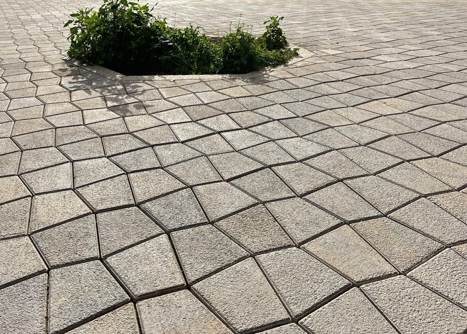 PASSEIG MARÍTIM DE PALMA, MALLORCA, ES