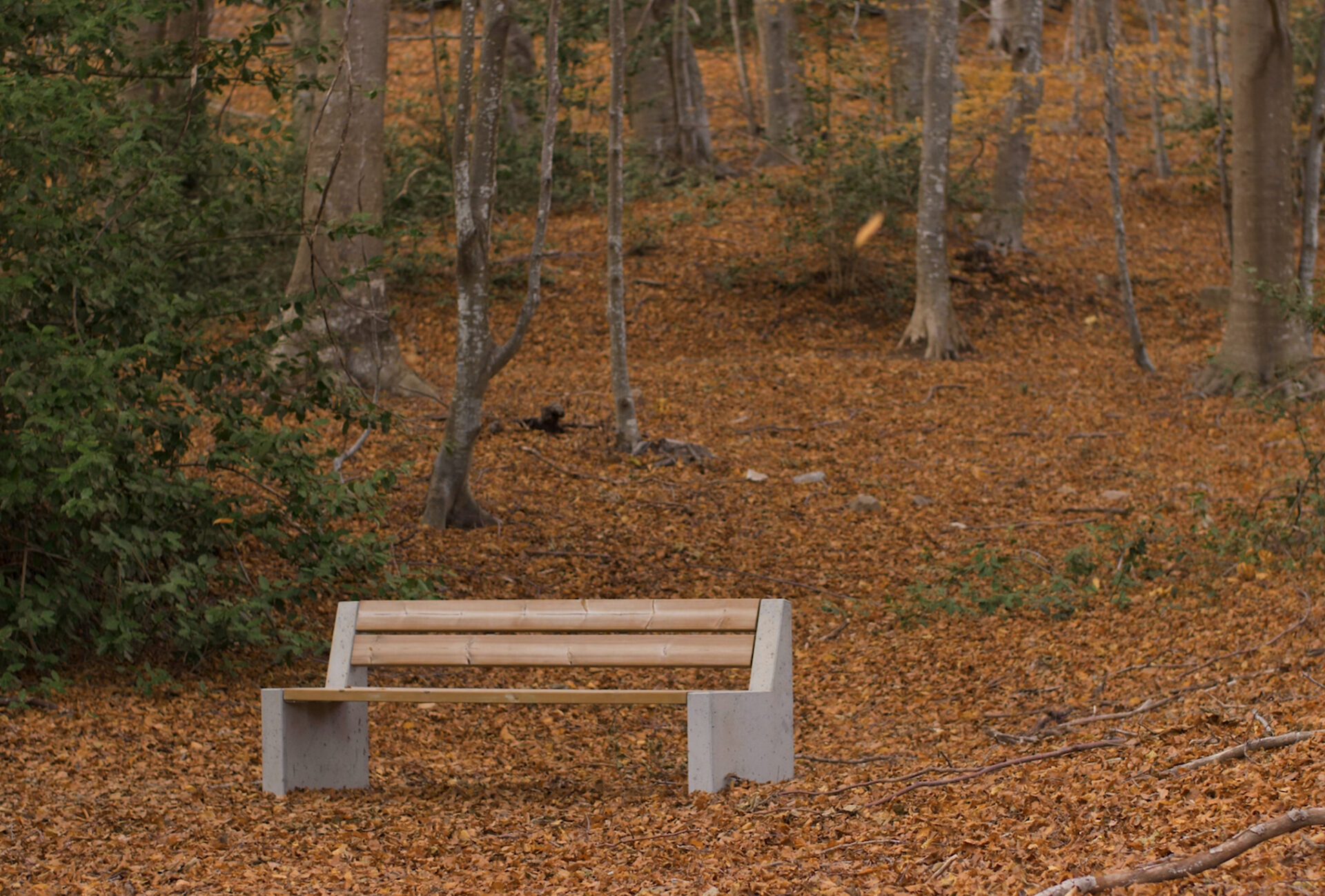 ALPINE BENCH, FIRST ECODESIGN PRIZE 2019