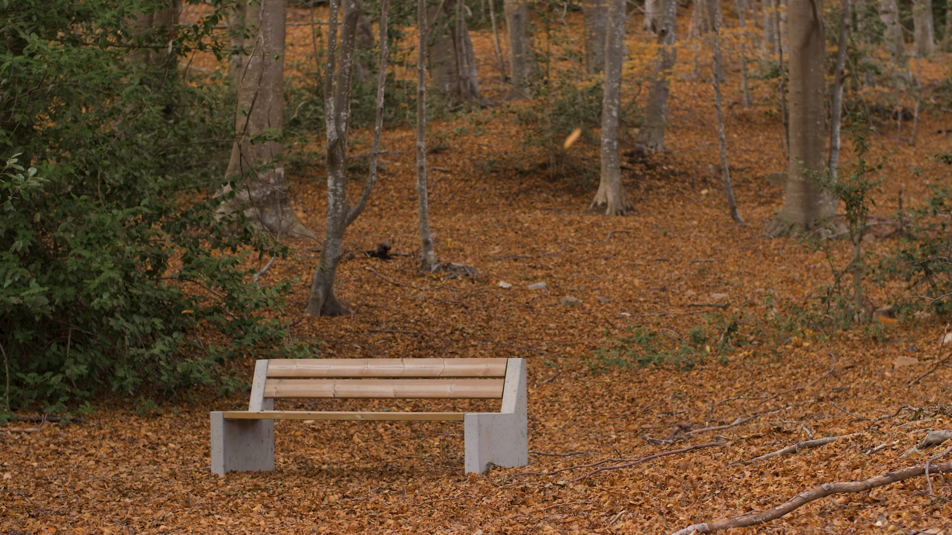 Banco ALPINE premio ecodisseny 2019