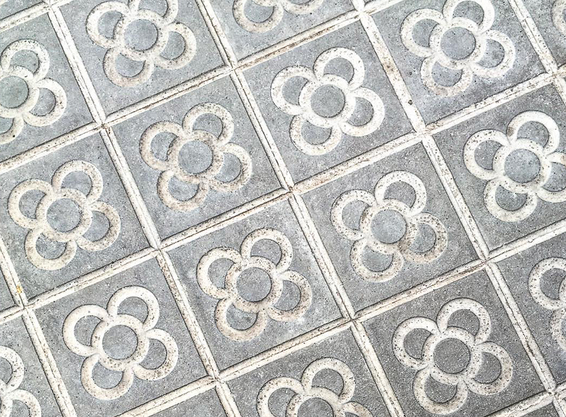 Panot Flor Escofet Barcelona