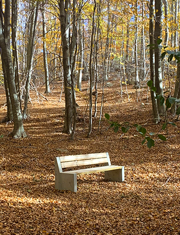 Alpine premio eco-design