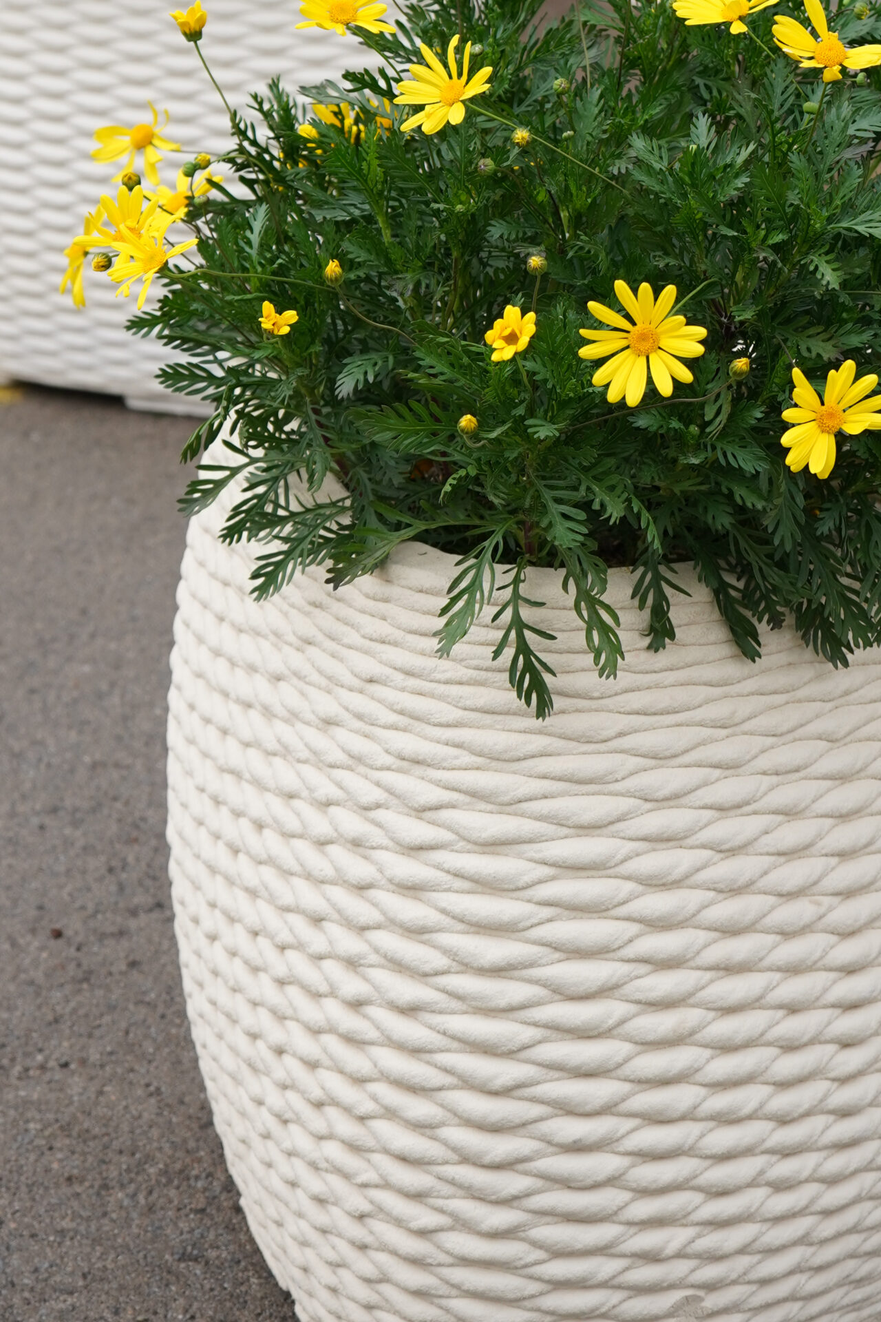 Vímet planter with the neutral surface finish inherent to the industrial process.