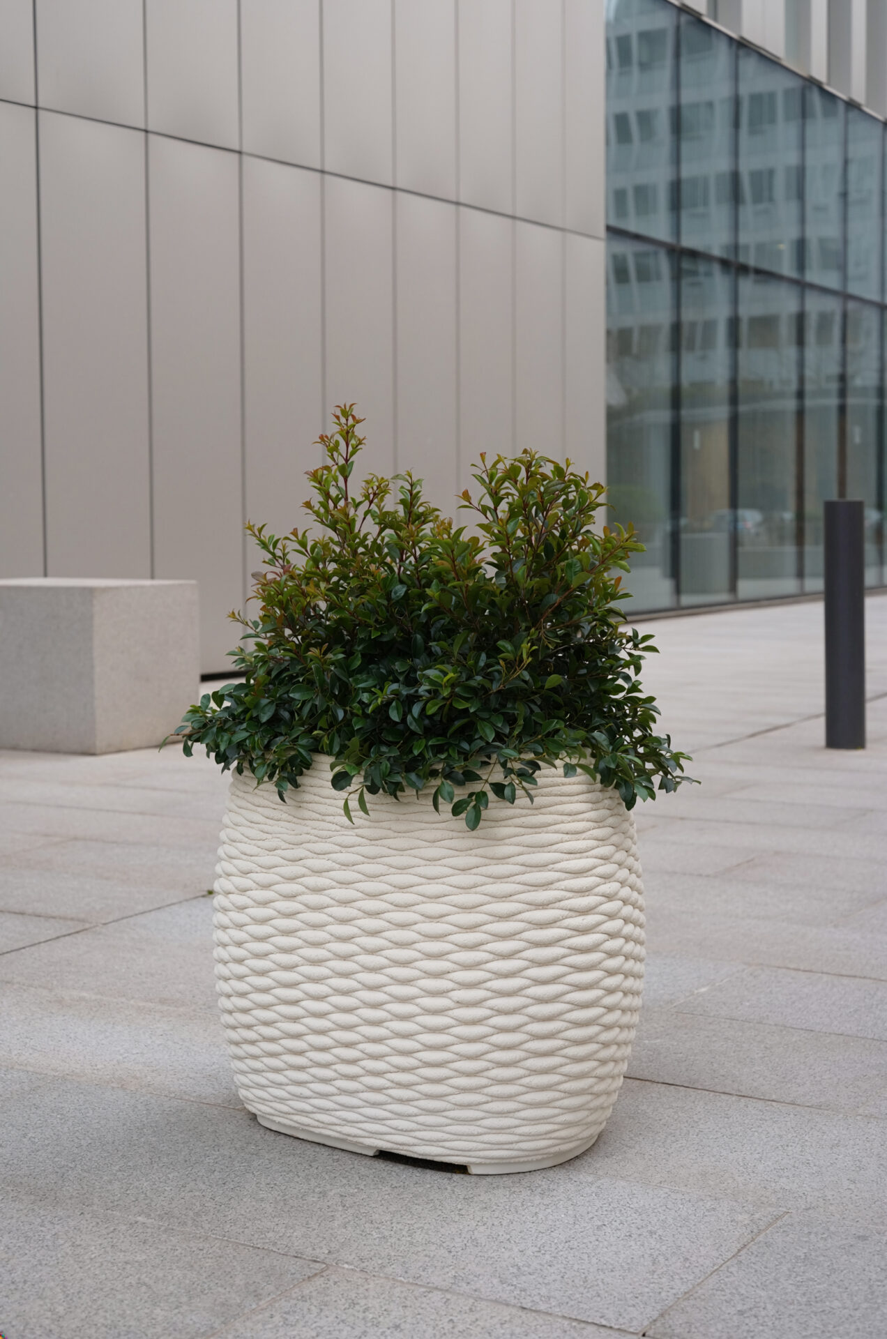 Vímet evokes woven wicker, making the logic of the printing process visible.