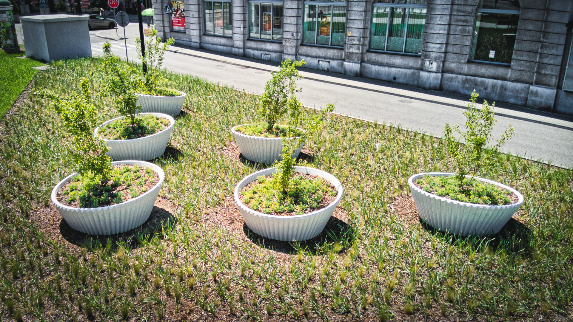 Proyecto Lena Escofet Gliwice